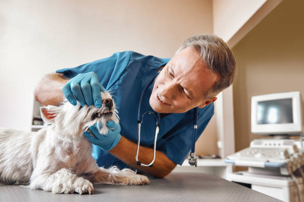 Best Same-Day Emergency Appointments in Parker, TX